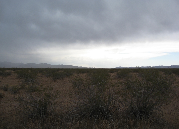 Chloride Arizona